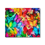 Colorful Butterflies Canvas