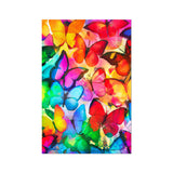 Colorful Butterflies Rolled Eco Canvas