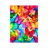 Colorful Butterflies Wall Art Poster