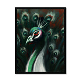 Peacock Framed Print