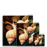 Snail on Leaves Canvas