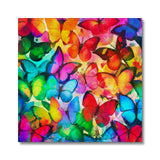 Colorful Butterflies Canvas