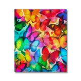 Colorful Butterflies Canvas