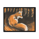 Fox in Forrest Framed Print