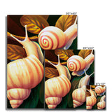 Snail on Leaves Canvas