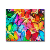 Colorful Butterflies Canvas