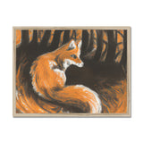 Fox in Forrest Framed Print