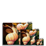 Snail on Leaves Canvas