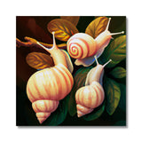 Snail on Leaves Canvas