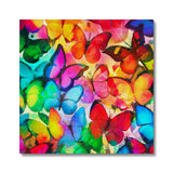 Colorful Butterflies Canvas