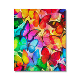 Colorful Butterflies Canvas