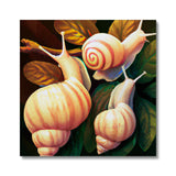 Snail on Leaves Canvas