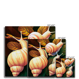 Snail on Leaves Canvas