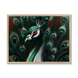 Peacock Framed Print