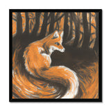 Fox in Forrest Framed Print