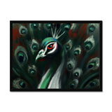 Peacock Framed Print