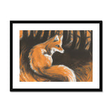 Fox in Forrest Framed & Mounted Print