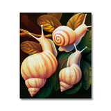 Snail on Leaves Canvas