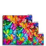 Colorful Butterflies Canvas